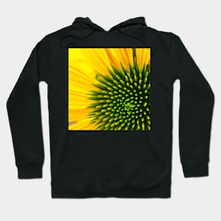 Echinacea Hoodie